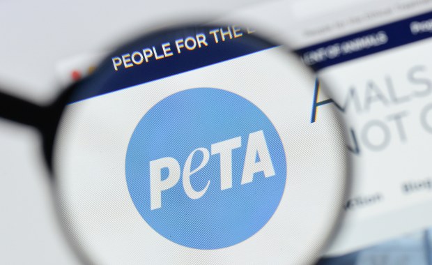 PETA domaga się rezygnacji z wykorzystywania żywych zwierząt w hollywoodzkich produkcjach