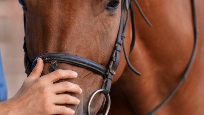 Petarda spłoszyła konie. Trzy osoby lekko ranne