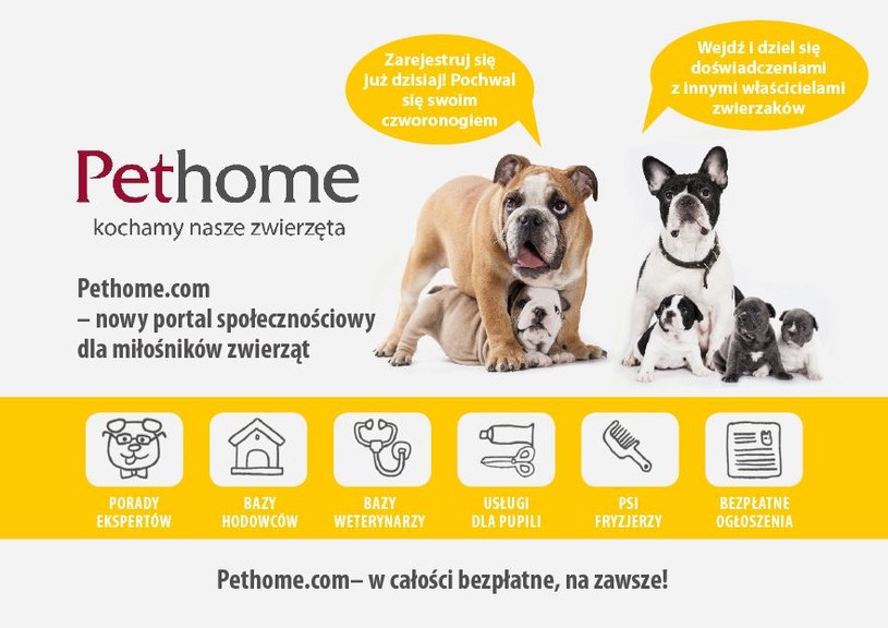 Pethome.com to pierwszy w polsce portal społecznościowy dla zwierząt /materiały prasowe