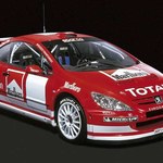 Peugeot 307 WRC!