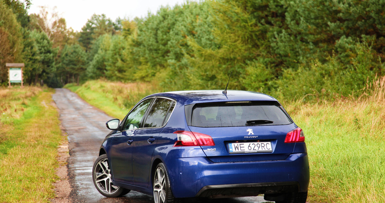 Peugeot 308 /INTERIA.PL