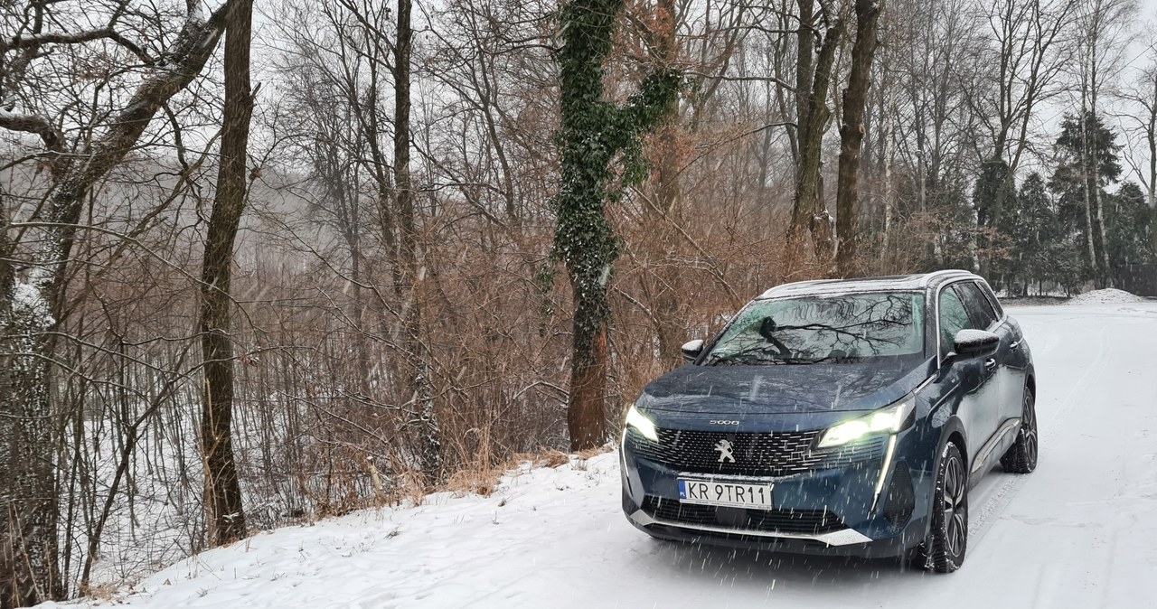 Peugeot 5008 /INTERIA.PL