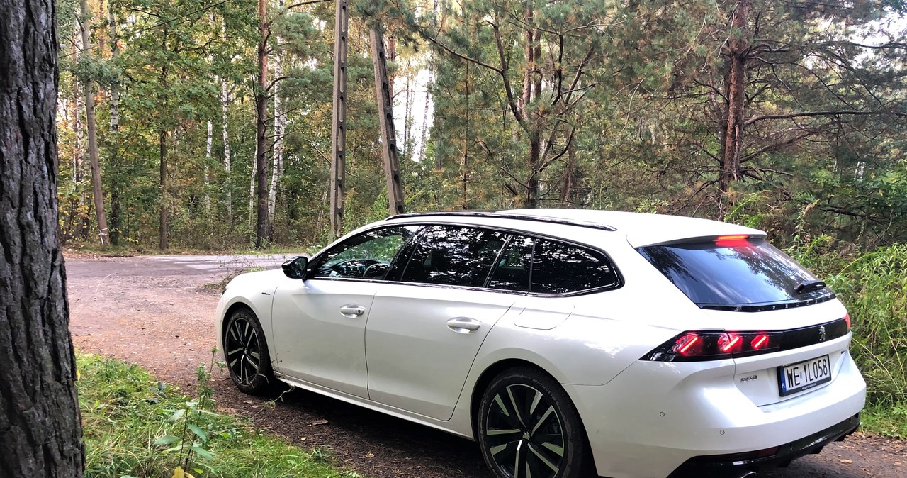 Peugeot 508 SW HYbrid /Filip Tokar /INTERIA.PL