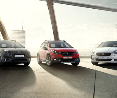Peugeot i Citroen publikują prawdziwe dane zużycia paliwa. Potwierdzasz je?
