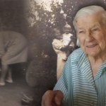 UPA "Pewnego dnia się pojawili pod lasem". Stulatka o ocalonych z Wołynia
