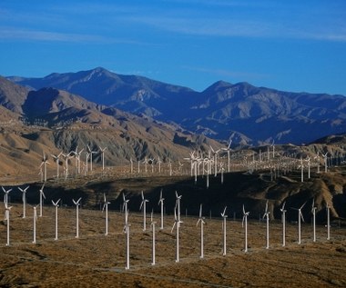 PGE chce zbudować trzy farmy wiatrowe