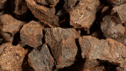 ​PGE sprzedaje węgiel brunatny. Wcześniej jego użycie było zakazane