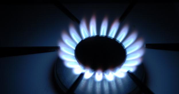 PGNiG wciąż wnioskuje o dwucyfrowy wzrost cen gazu /AFP