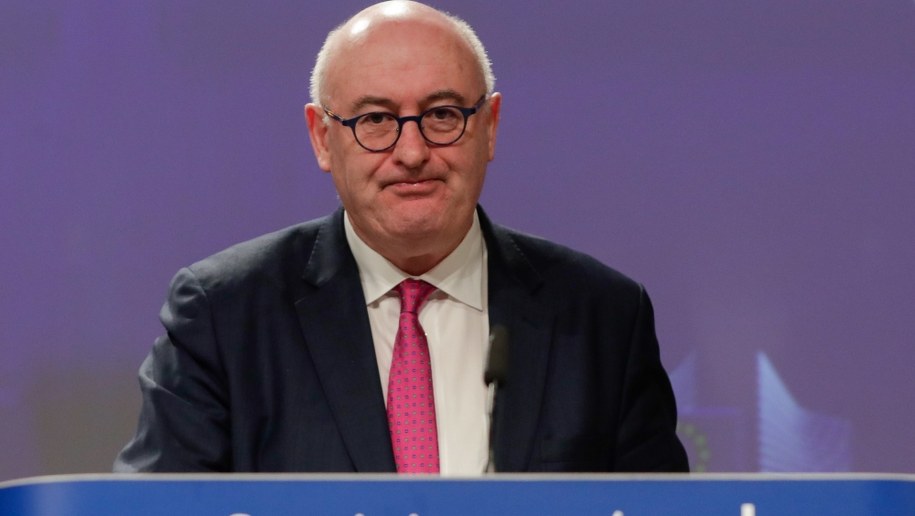 Phil Hogan /STEPHANIE LECOCQ  /PAP/EPA