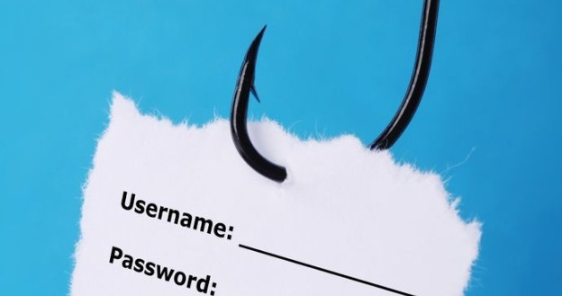 Phishing jest jednym z najstarszych i najprostszych sieciowych oszustw /123RF/PICSEL