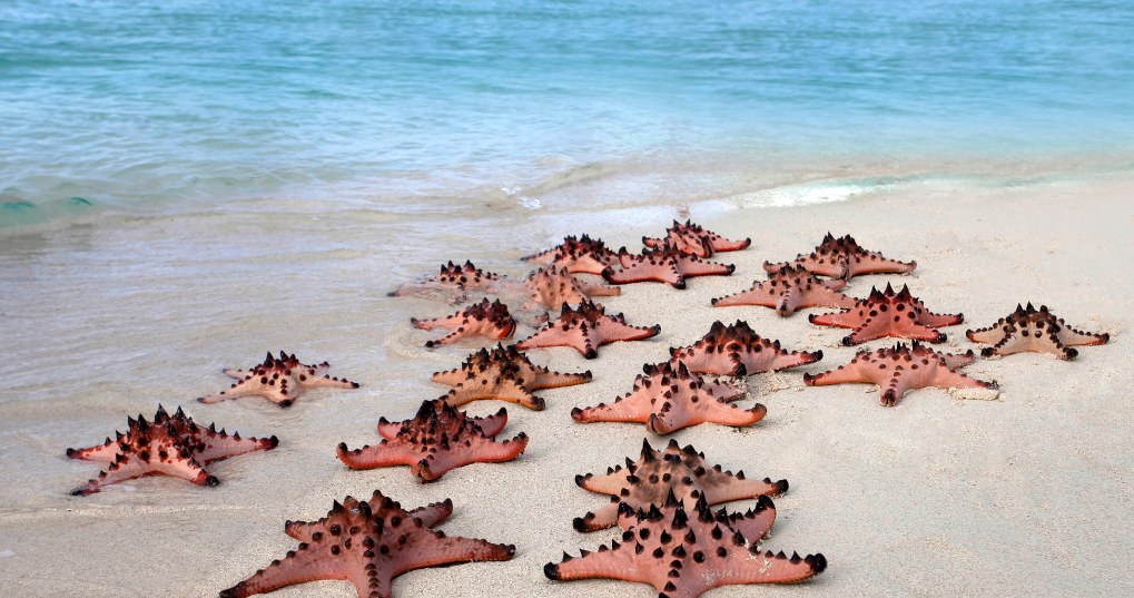 Phu Quoc plaże /materiały promocyjne