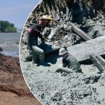 odkrycie archeologiczne Piaski niewielkiej wysepki skrywały sekret. Odkryto wiekowy wrak