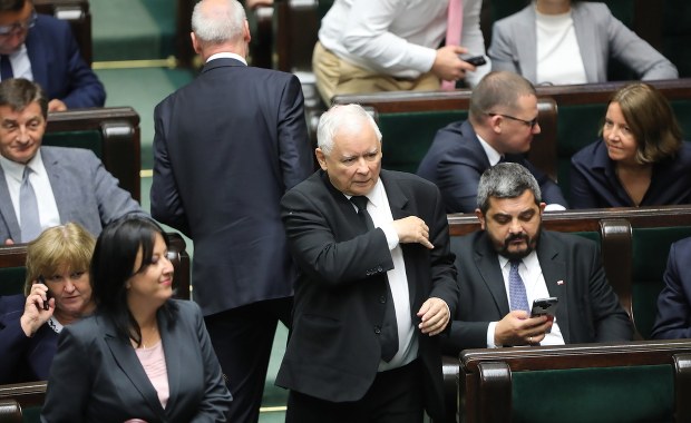 "Piątka dla zwierząt" uchwalona. "Koniec koalicji. Prawdopodobnie rząd mniejszościowy" 