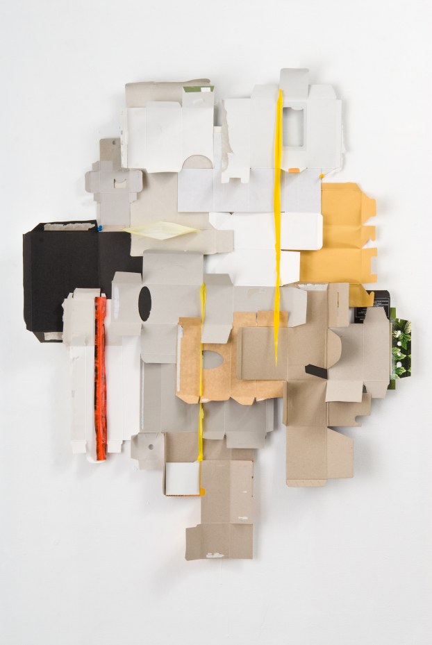 Picabia (2008) /D. Cohen /materiały prasowe