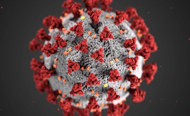 Pięć dni inkubacji koronawirusa. 14-dniowa kwarantanna wystarczy