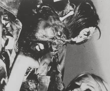 Pięć lat później do kin trafił kolejny horror jego autorstwa, "Wzgórza mają oczy", będący swoistą odpowiedzią na "Teksańską masakrę piłą mechaniczną" Tobe'ego Hoopera z 1974 roku.