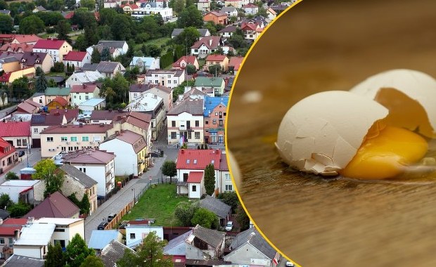 ​Pięć miesięcy więzienia za obrzucenie burmistrza Iłży jajami