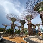 Pięćdziesięciometrowe superdrzewa ozdobą Singapuru