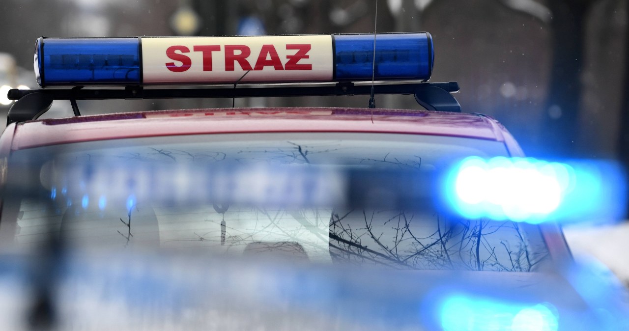 Pięcioro dzieci rannych w wypadku niedaleko Oleśnicy