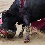 Pięciu rannych w przedostatniej gonitwie z bykami