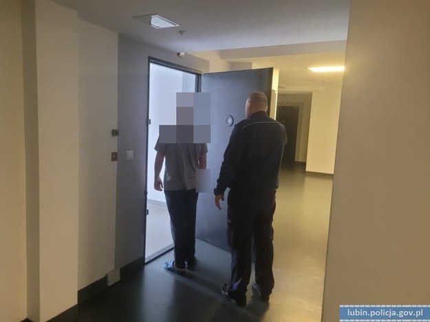 Pięciu z sześciu zatrzymanych trafiło do ośrodków wychowawczych /Dolnośląska Policja /Policja