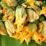 Piękna dekoracja posiłku czy zdrowy dodatek? Te kwiaty zdecydowanie warto zjadać!