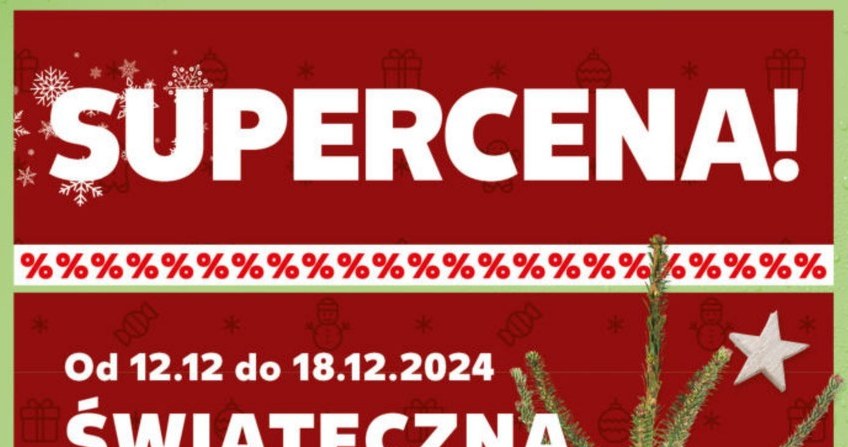 Piękna i trwała! Jodła kaukaska w Kauflandzie w świetnej cenie /Kaufland /INTERIA.PL