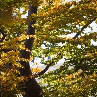 Gdynia-Orłowo w obiektywie dziennikarza RMF FM