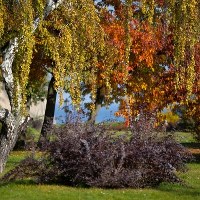 Gdynia-Orłowo w obiektywie dziennikarza RMF FM