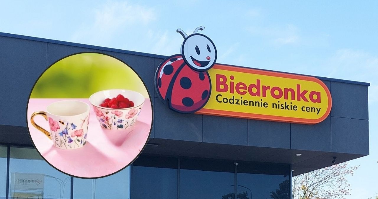Piękna porcelana SMUKEE trafiła do Biedronki /adobestock/Biedronka /INTERIA.PL
