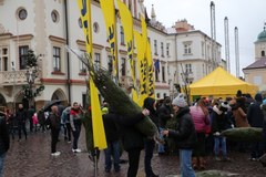 Piękne choinki od RMF FM rozdaliśmy mieszkańcom Rzeszowa