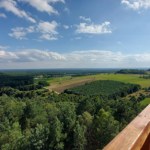 Piękne widoki i brak tłumów. Wybierz się na tę wieżę widokową w majówkę