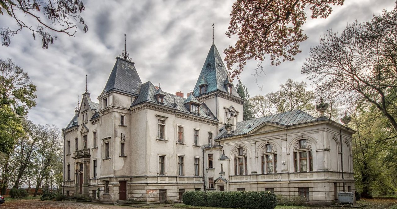 Piękny pałacyk ukryty jest w Wielkopolsce. Kto w nim mieszkał? /Sławomir Milejski /CC-BY 3.0