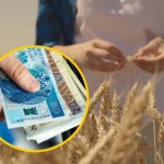 Pieniądze dla rolników. Minister apeluje: Nie czekajcie na ostatnią chwilę