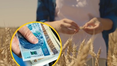Pieniądze dla rolników. Minister apeluje: Nie czekajcie na ostatnią chwilę
