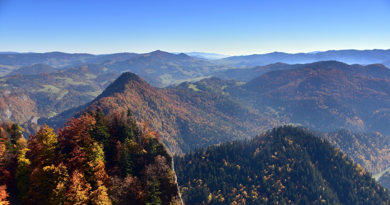 Pieniny jesienią oferują malownicze krajobrazy. Są więc dobrym celem na weekendową wycieczkę. /East News