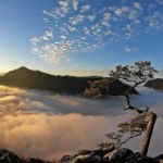 Pieniny Pieniny - najpiękniejsze polskie góry