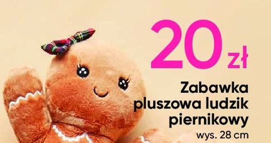 Piernikowe ludziki za 20 zł w Pepco! /Pepco /INTERIA.PL