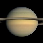 Pierścienie Saturna znikną z widoku. Czy olbrzym straci je na zawsze?  