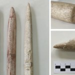 wieloryb Pierwsi łowcy wielorybów żyli w tropikach, a nie w Arktyce