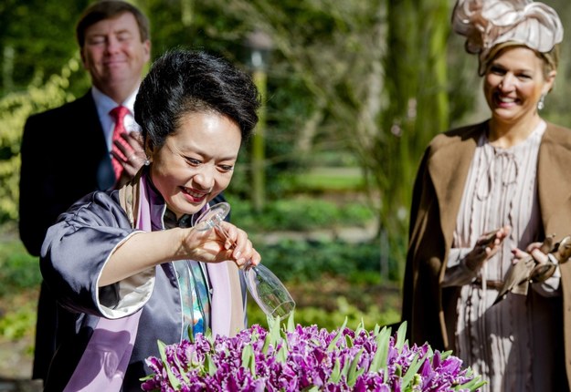 Pierwsza dama Chin Peng Liyuan nadała nazwę nowej odmianie tulipana "Cathay" /ROBIN VAN LONKHUIJSEN /PAP/EPA