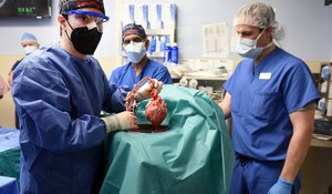​Pierwsza ksenotransplantacja serca u człowieka. Przełom, na który czekaliśmy