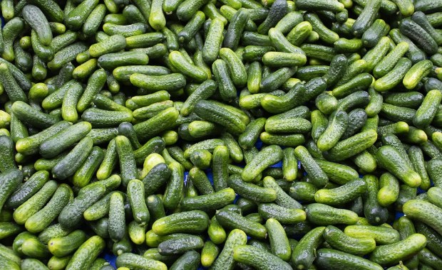 "Pierwsza oznaka zbliżającej się wiosny" już w Broniszach