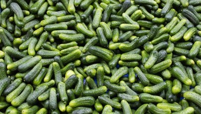 "Pierwsza oznaka zbliżającej się wiosny" już w Broniszach