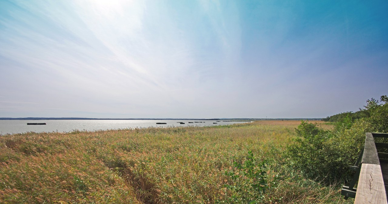 Pierwsza połowa tygodnia upalna, od czwartku ochłodzenie /ZOFIA I MAREK BAZAK  /East News