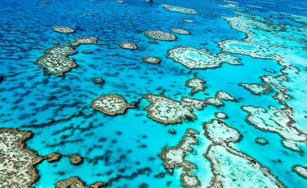 Pierwsza taka decyzja Australii. Chodzi o rafę koralową 