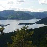 Pierwsza w Norwegii ścieżka w koronach drzew. Widok z niej zachwyci każdego