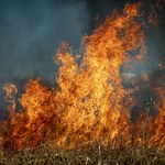 Pierwsze ofiary śmiertelne pożarów traw. Ponad milionowe straty 