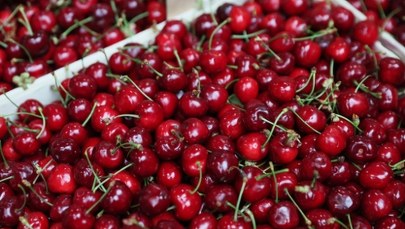 Pierwsze polskie czereśnie już na rynku. Ceny mogą zaskoczyć