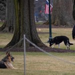 ​Pierwsze psy Ameryki już w Białym Domu